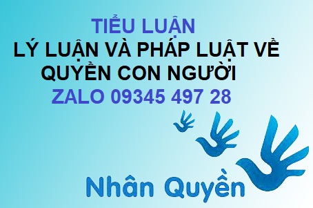 Bài mẫu Tiểu luận Lý luận và pháp luật về Quyền con người