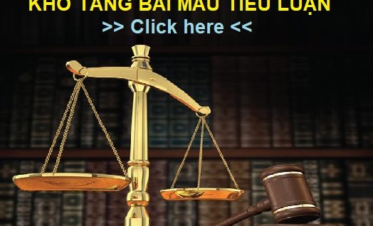 Bài mẫu tiểu luận thi hành án hình sự