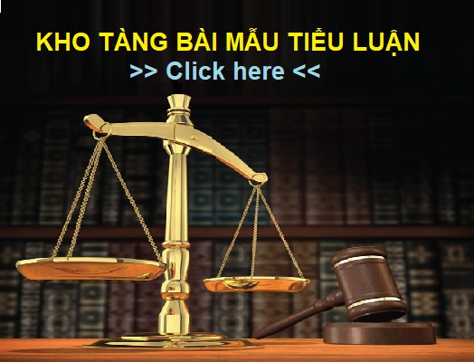 Bài mẫu tiểu luận thi hành án hình sự