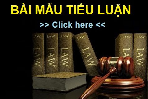 Bài mẫu tiểu luận tội phạm học