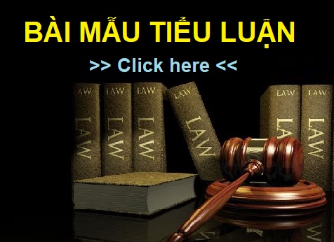 Bài mẫu tiểu luận tội phạm học