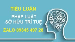 Bài mẫu Tiểu luận Pháp luật sở hữu trí tuệ Điểm cao